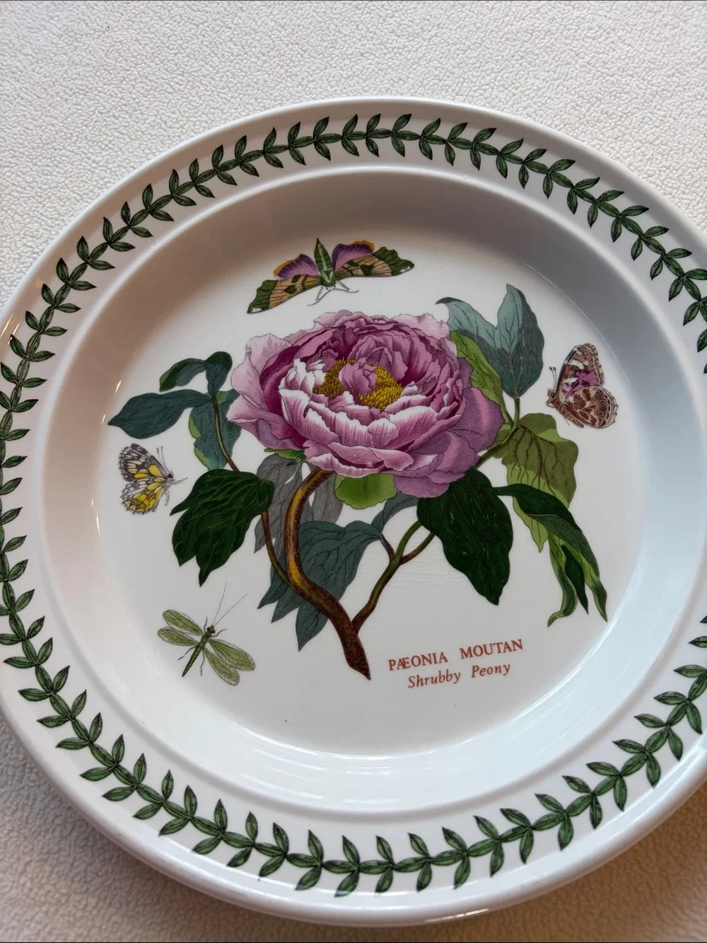 Portmeirion Botanic Garden Dinner Plates